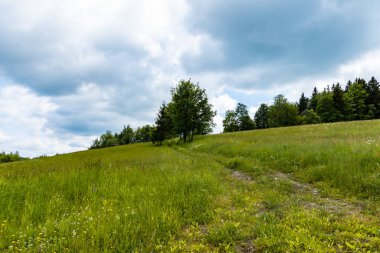 Rudawy Janowickie 'de güzel manzaralı uzun dağ yolu