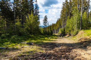 Rudawy Janowickie 'de güzel manzaralı uzun dağ yolu