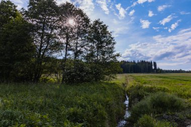 Rudawy Janowickie 'deki dağ patikasının yanında parlayan güneşi olan ağaçların yanındaki dar dere.