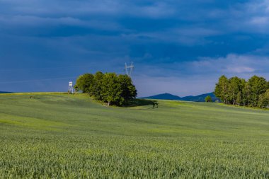 Yeşil tarlaların ve Rudawy Janowickie dağlarının güzel manzarası