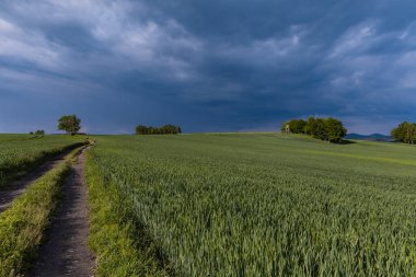 Rudawy Janowickie 'de güzel manzaralı uzun dağ yolu