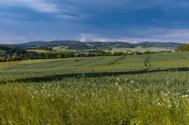 Yeşil tarlaların ve Rudawy Janowickie dağlarının güzel manzarası