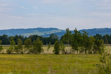 Bulutlu bir günde Kaczawskie dağlarındaki büyük yeşil buğday ağaçları ve çalılar.