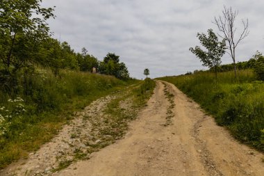 Kaczawskie dağlarında çalılar ve tarlalar olan uzun bir yol.