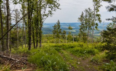 Kaczawskie dağlarının güzel manzarası. Etrafı geniş tarlalar ve ağaçlarla çevrili.