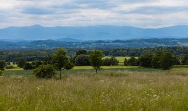 Bulutlu bir günde Kaczawskie dağlarındaki büyük yeşil buğday ağaçları ve çalılar.
