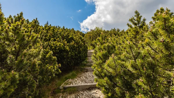 Largo Sendero Montaña Lleno Escaleras Pedregosas Con Panorama Karkonosze Montañas —  Fotos de Stock
