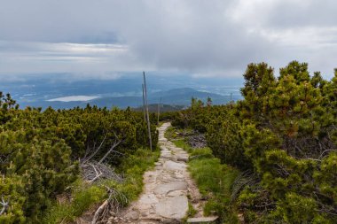 Karkonosze Dev Dağları 'nın manzaralı uzun dağ yolu