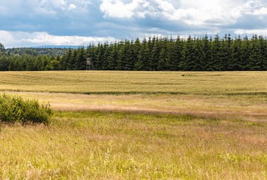Walbrzych dağlarındaki ağaçlardan, çalılardan ve tarlalardan oluşan güzel bir manzara.