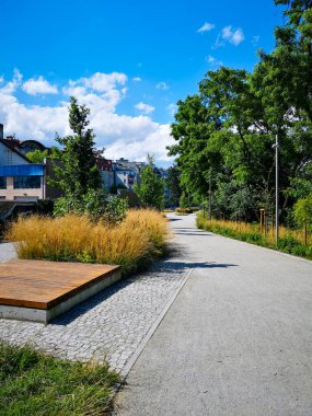 Wroclaw, Polonya - Temmuz 12020: Olawska çevrede ağaçlar ve çalılar ile geziniyor