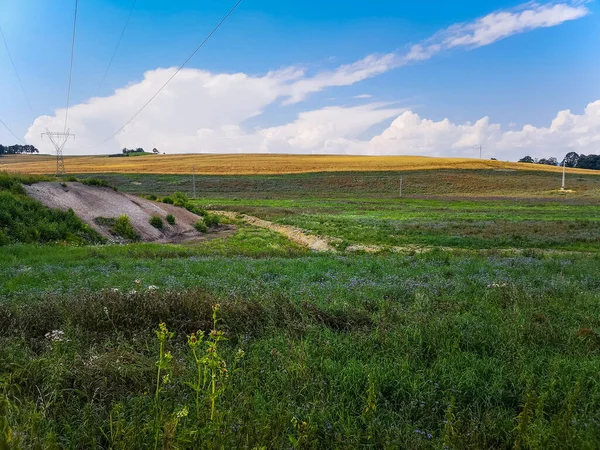 Krajobraz Zielonych Żółtych Pól Małymi Wzgórzami Błękitnym Zachmurzonym Niebem — Zdjęcie stockowe