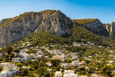 Capri Adası 'nın ağaçlar ve dağlarla dolu güzel manzarası.