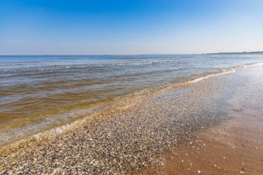Baltık Denizi sahilinin canlı bir uzantısı sayısız küçük, renkli deniz kabuklarıyla süslenmiş, kumların nazik dalgalarla buluştuğu doğal bir mozaik yaratıyor.