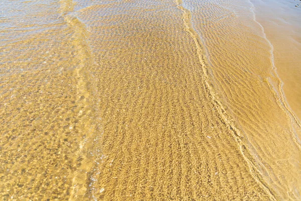 Baltık Denizi 'nin sakin kıyılarında berrak, sığ sularda görülen karmaşık kum dalgaları soyut desenler oluşturur.