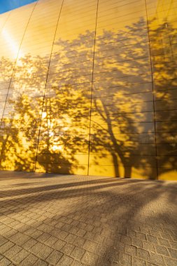 Wroclaw, Polonya - 29 Eylül 2024: Wroclaw 'daki Ulusal Müzik Forumu' nun altın duvarları, parlak güneşli bir gökyüzü altında çarpıcı ağaç gölgeleriyle süslenmiştir.