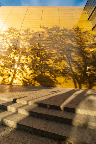 Вроцлав, Польша - 29 сентября 2024 года: Золотые стены Национального музыкального форума во Вроцлаве, украшенные яркими тени деревьев под ярким солнечным небом