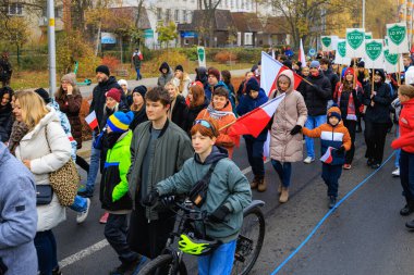 Wroclaw, Polonya - 11 Kasım 2024: Wroclaw 'da Neşeli Bağımsızlık Günü Yürüyüşü, Polonya Bayrakları, Öğrencileri ve 11 Kasım' ı Kutlayan Ailelerle Vatanseverlik Yürüyüşü