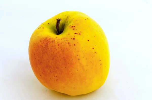 Sabrosa fruta de manzana roja amarilla fresca — Foto de Stock