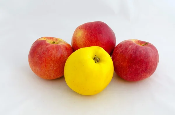 Tasty fresh red yellow apple fruit — Stock Photo, Image