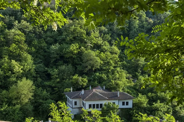 Starý dům se krčil v lese v Mělníku — Stock fotografie