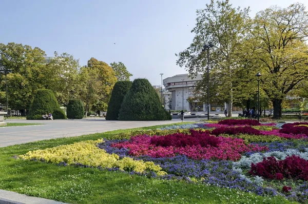Kleurrijke bloemen tuin in Ruse stad — Stockfoto
