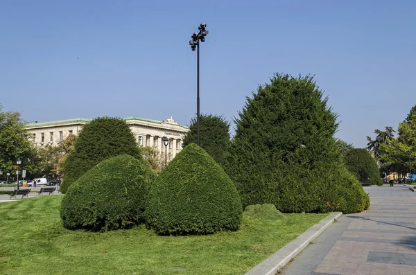 Zelený koutek v zahradě ve městě Ruse Stock Obrázky