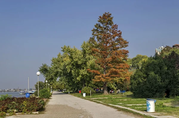 Парк Риверсайд в городе Русе вдоль реки Дунай — стоковое фото