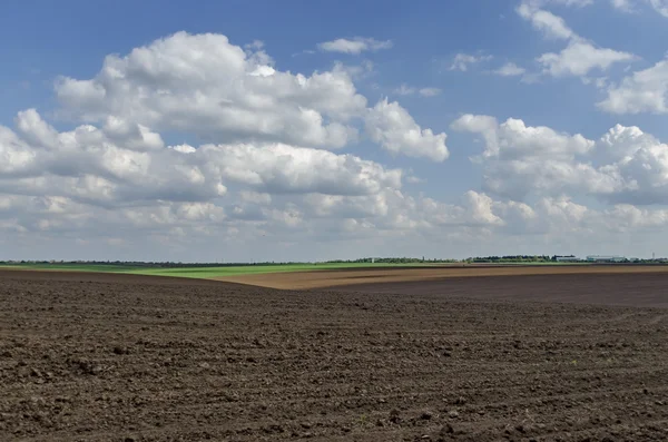 Alan bahar çiftçilik