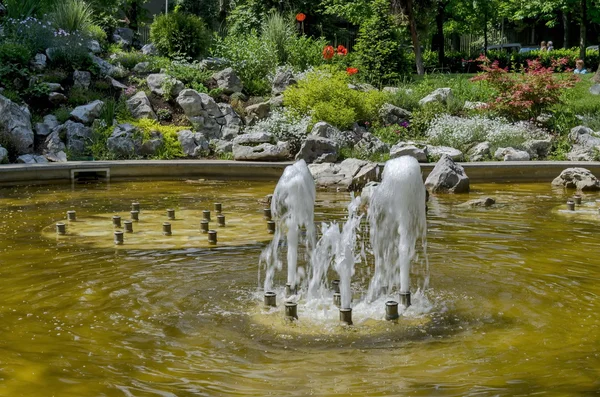 Doktorların Bahçe küçük çeşme