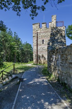 Kule ve duvarda hakim Mali şehir