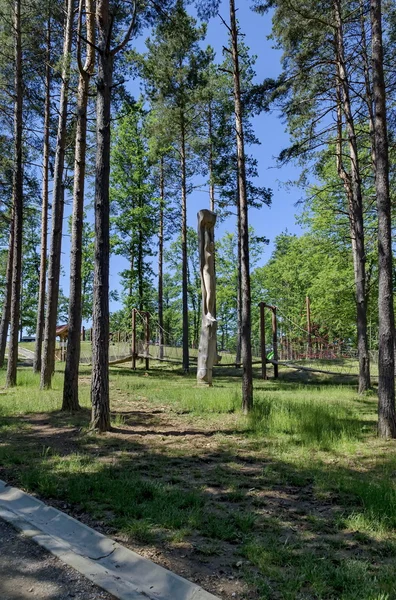 Houten sculptuur in Prevails Mali stad attractie park — Stockfoto