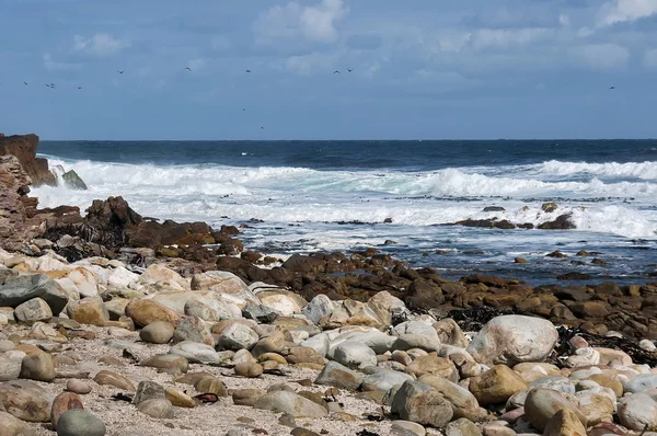 Atlas Okyanusu kıyıları ümit tarafından. Dalga sıçrama kaya. — Stok fotoğraf