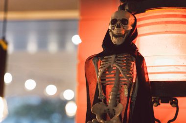 İskelet bir kafede fenere asılı. Korkunç yaratıklar.. 