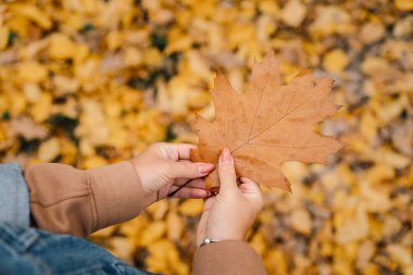 Kadının elinde meşe yaprağı var. Altın sonbahar