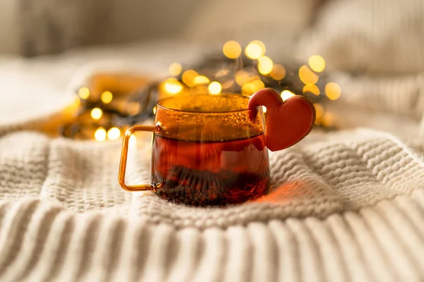 Tazza di tè e biscotti su un maglione lavorato a maglia. Accogliente riposo. — Foto Stock