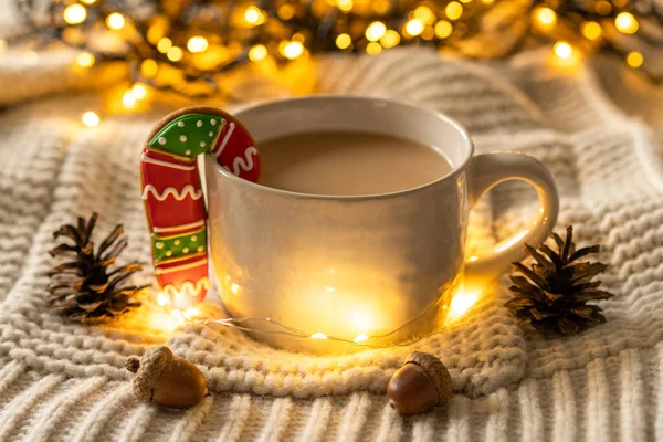 Kerstdecor. Beker en kerstkoekjes op een gebreide trui. Gezellige rust — Stockfoto