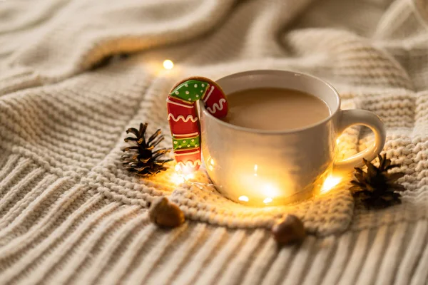 Kerstdecor. Beker en kerstkoekjes op een gebreide trui. Gezellige rust — Stockfoto