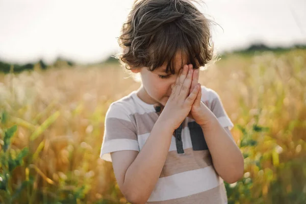 Niño Cerró Los Ojos Rezando Campo Trigo Las Manos Dobladas —  Fotos de Stock