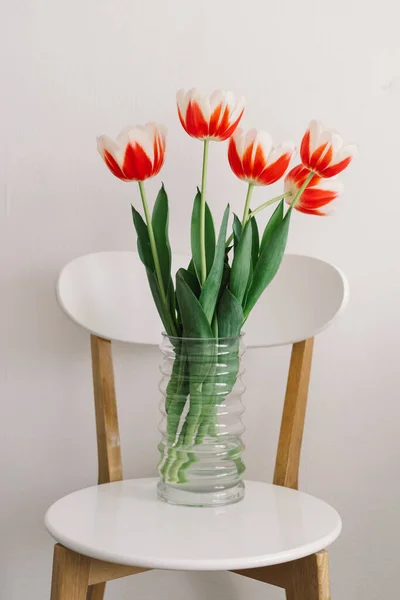 Orange tulips on a white chair in the living room. Spring and Holidays.