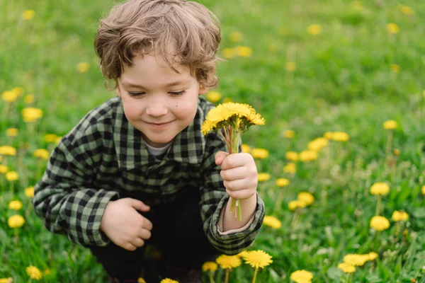 Curly Boy Verzamelt Ruikt Paardenbloem Bloemen Tijd Van Lente Allergie — Stockfoto