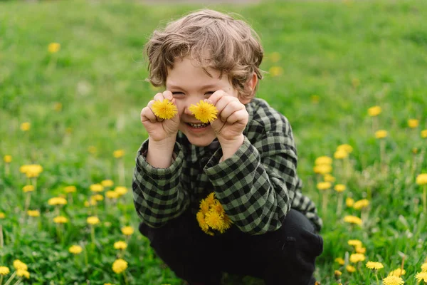 Lockig Pojke Samlar Och Sniffar Maskros Blommor Tid För Vår — Stockfoto