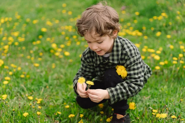 Lockiger Junge Sammelt Und Schnuppert Löwenzahnblumen Frühlingszeit Und Allergie — Stockfoto