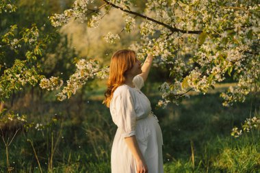 Hamile bir kadının bahar portresi. Beyaz elbiseli güzel hamile bir kadın bahar bahçesinde yürüyor. Mutlu hamilelikler. Bahar