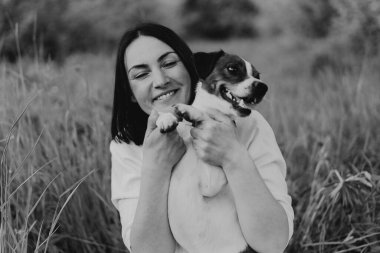 Kadın çayırda Jack Russell Terrier 'cilik oynuyor. Jack Russell Terrier köpeğine sarılan bir kadın. Güzel köpek. Kadın ve köpek dostluğu.
