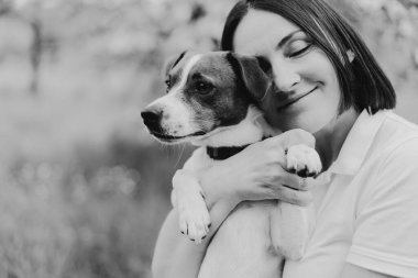 Kadın çayırda Jack Russell Terrier 'cilik oynuyor. Jack Russell Terrier köpeğine sarılan bir kadın. Güzel köpek. Kadın ve köpek dostluğu.