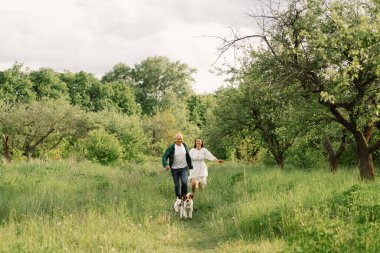 Aile oyunu. Çayırda Jack Russell Terrier köpeği. Aile kucaklaşması Jack Russell Terrier 'ın doğasında var. Güzel köpek. Aile ve köpek dostluğu.