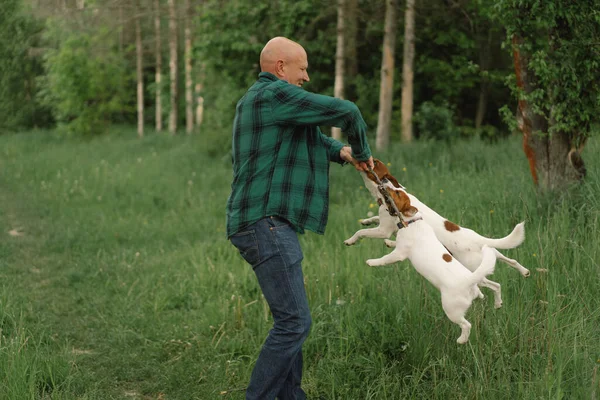 Мужская Собачья Дружба Мужчина Играет Джека Рассела Терьера Собак Лугу — стоковое фото