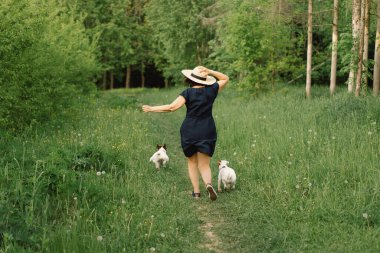 Kadın çayırda Jack Russell Terrier 'cilik oynuyor. Jack Russell Terrier köpeğine sarılan bir kadın. Güzel köpek. Kadın ve köpek dostluğu.