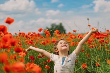 Küçük Çocuk kırmızı gelinciklerle dolu güzel bir arazide oynuyor. İnsanlar ve doğa. Kırsal alan