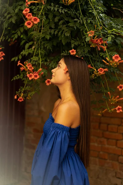 Retrato feliz joven con vestido azul y de pie en Campsis radicans flores —  Fotos de Stock